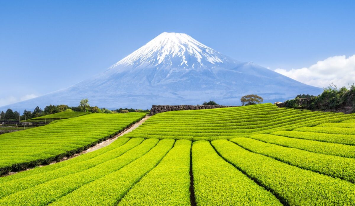 静岡県のインバウンド・訪日外国人観光客データと旅行の傾向