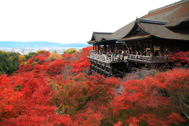 京都府のインバウンド・訪日外国人観光客データと旅行の傾向
